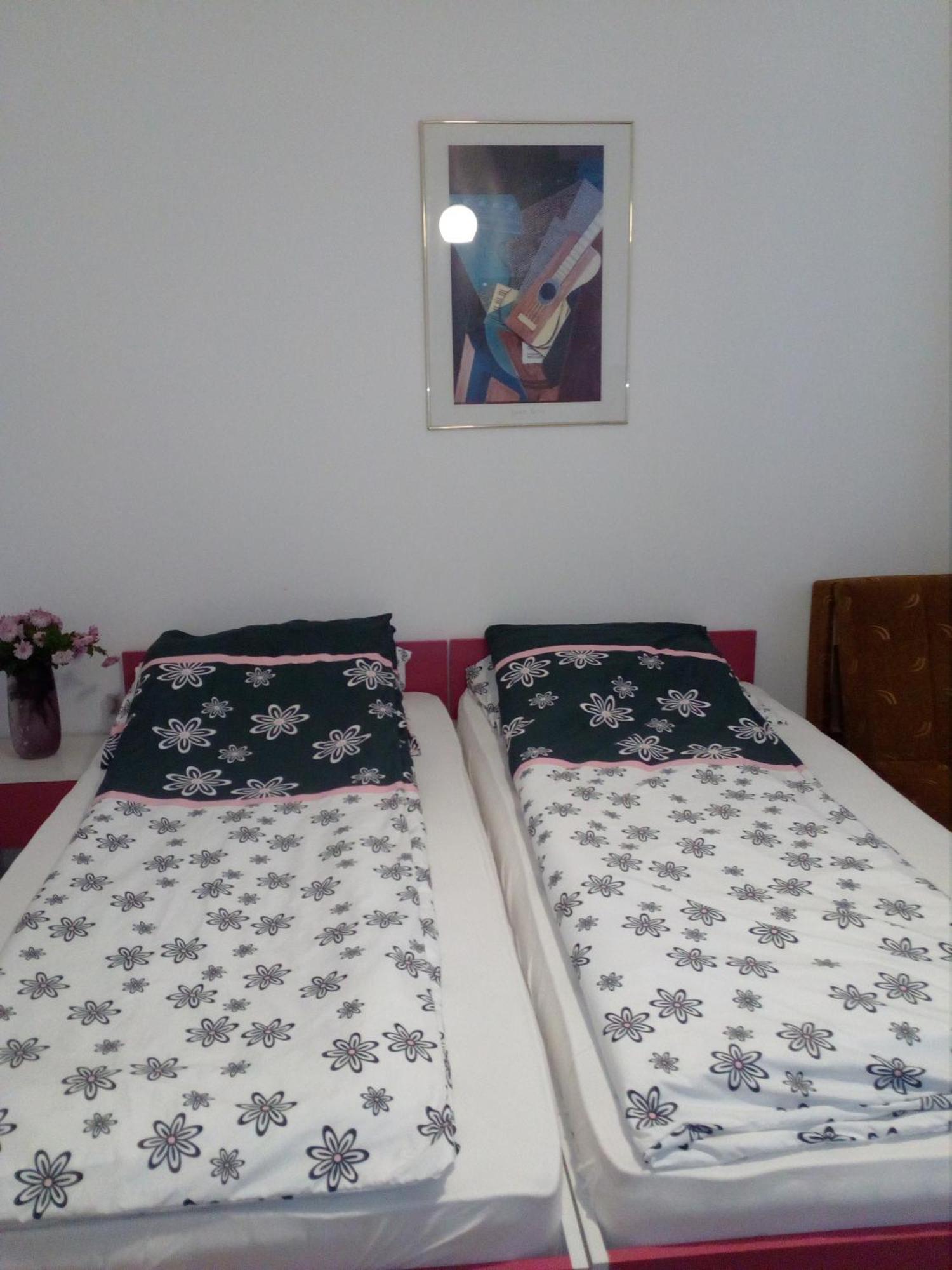 Apartments Tepic بانيا لوكا المظهر الخارجي الصورة